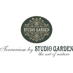 Studio Garden - Amenajari Gradini, Bucureşti