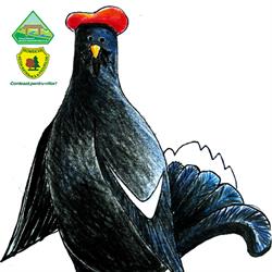 Parcul Natural Munţii Maramureşului, Vişeu de Sus
