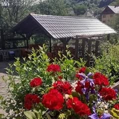 PENSIUNEA ANA, Cavnic