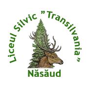 Colegiul Silvic "Transilvania", Năsăud