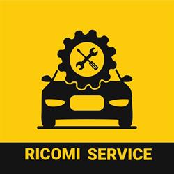Ricomi Service Iasi, Aroneanu