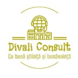 Divali Consult, Satu Mare
