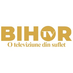 ARDELEAN PRODUCTION MEDIA SRL, Oradea