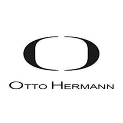 Otto Hermann Store, Satu Mare
