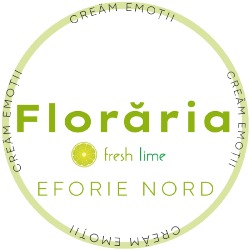 Florarie Fresh Lime. Eforie Nord
