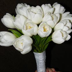 Floraria Bolo Rey, Galaţi