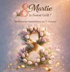 FOREST GRILL RESTAURANT TERASA SI CAZARE, Piatra-Neamţ