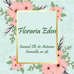 Floraria Eden, Caracal