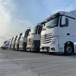 International Alexander Holding, Arad