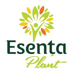 Esenta Plant (Esenta Plant Piatra Neamt)