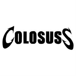 Colosuss Net Cafe, Jibou