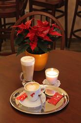 Don's Cafe, Sălişte