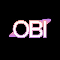 Obi Digital, Câmpulung Moldovenesc