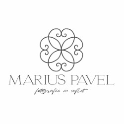 anima media pavel srl, Braşov