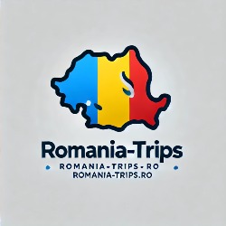 Transfer Aeroport Otopeni Drive Connect Solutions
