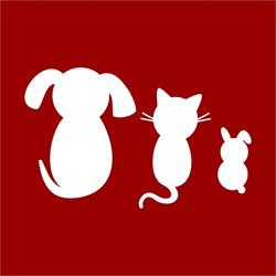 Clinica Veterinară Dr. Bunea, Sibiu