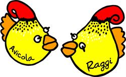Avicola Raggi, Cârcea