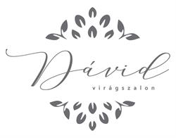 Dávid Virágszalon, Sfântu Gheorghe