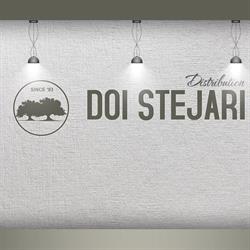 Doi Stejari - Depozit Uz Casnic, Iaşi