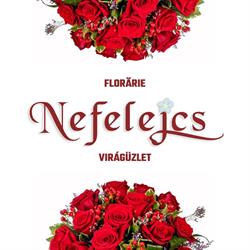 Florăria Nefelejcs Virágüzlet, Odorheiu Secuiesc