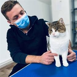 Signix VET - Cabinet şi farmacie veterinară, Tomeşti