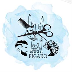 Salon Figaro, Târgu Mureş