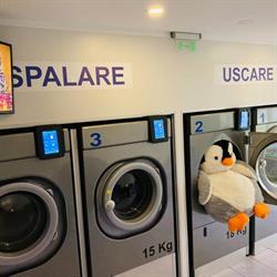 Laundry Clean & Cheap, Piatra-Neamţ