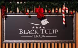 Terasa Black Tulip, Dej