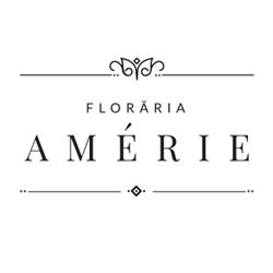 Floraria Amérie, Târgu Mureş