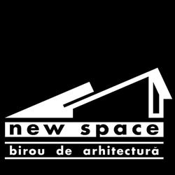 New Space, Roman