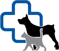 Cabinet veterinar - AllVet - Focşani