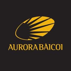 Stadionul de rugby Aurora Baicoi