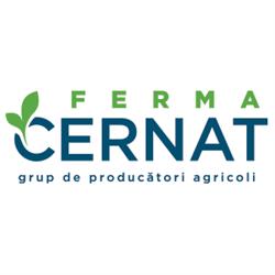 Csernátoni Farm, Cernat