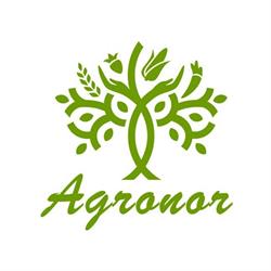 Agronor, Baia Mare