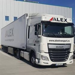 Alex International, Chitila