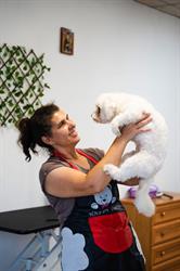 Frizerie Canina V&M, Medgidia