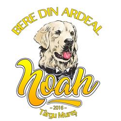 BERE NOAH, Fabrica