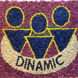 SC Dinamic SRL, Baia Mare
