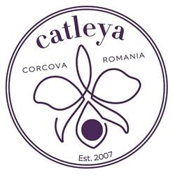 Domeniu Catleya - crama, Corcova