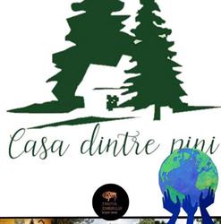 Casa dintre Pini, Agapia