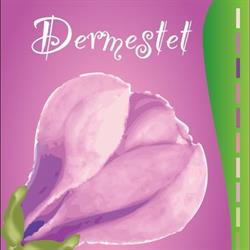 Dermatolog tratament laser - Dermestet, Bucureşti