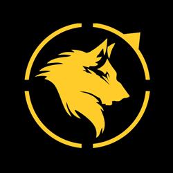 The Beast Team - Antrenamente MMA, Căciulata