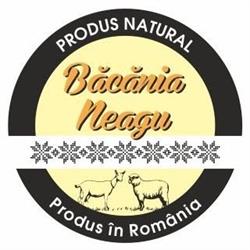 Buric de Golesti Neagu, Focşani