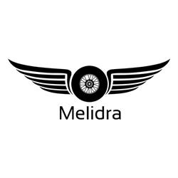 MELIDRA ITP & Service auto, Doiceşti