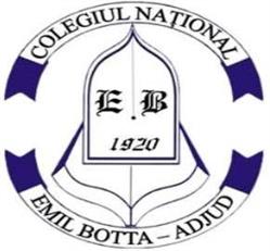 Colegiul Naţional Emil Botta, Adjud