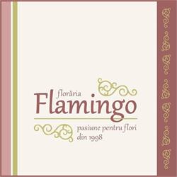 Florăria Flamingo, Reghin