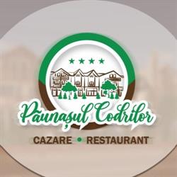 Vila Păunaşul Codrilor, Câmpulung Moldovenesc