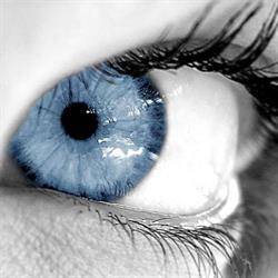 DORO IRIS - Ghencea - Optica medicala, Bucureşti