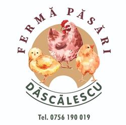 Ferma Bon'Das (Ferma Dascalescu), Bucecea