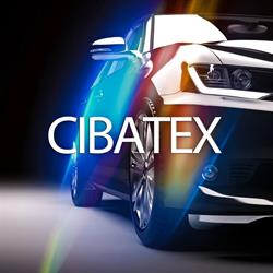 Cibatex, Timişoara